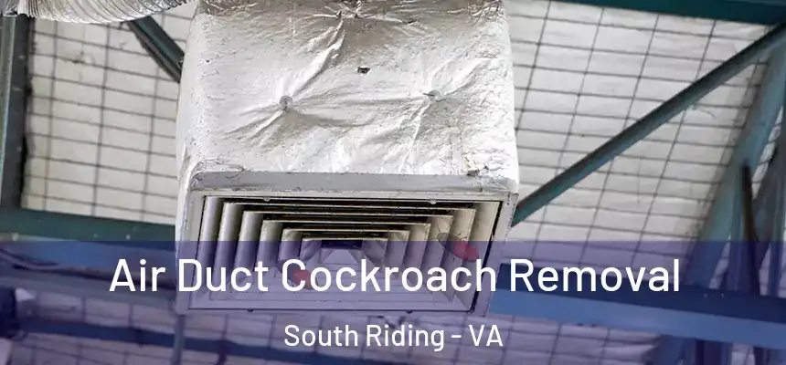  Air Duct Cockroach Removal South Riding - VA
