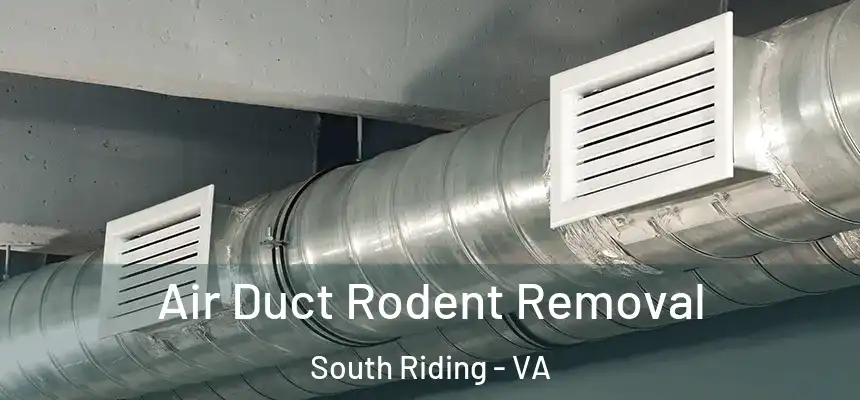  Air Duct Rodent Removal South Riding - VA