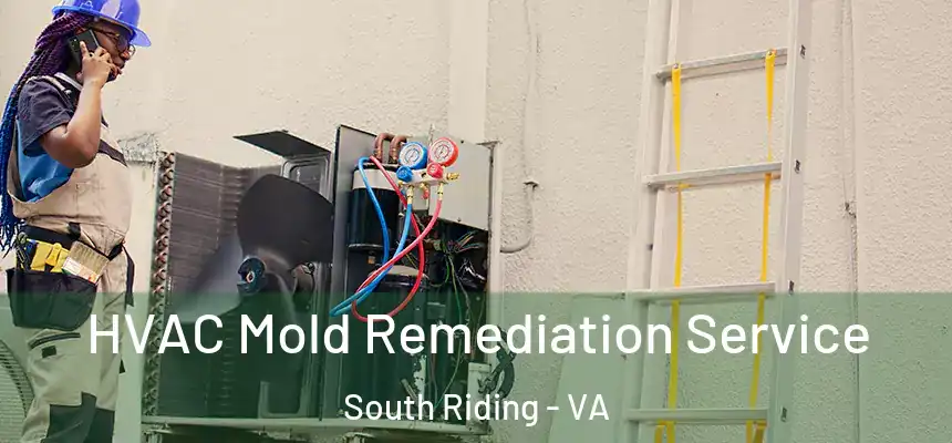  HVAC Mold Remediation Service South Riding - VA