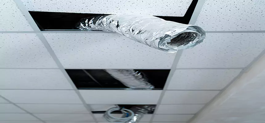 Our Air Duct Pet Hair Removal Services in South Riding, VA