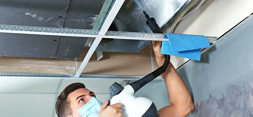 Our Air Duct Rodent Removal Services in South Riding, VA
