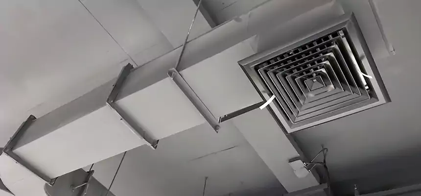 Restorative Allergy Relief Vent Cleaning – Coil, Blower & Housing Detail in South Riding