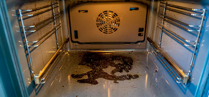 Our Dryer Vent Mold Cleaning Services in South Riding, VA