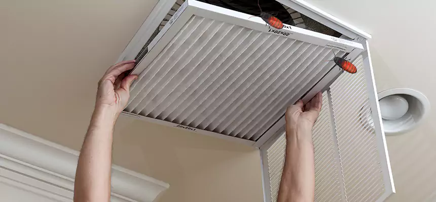 Our Insect Removal from Air Ducts Services in South Riding, VA