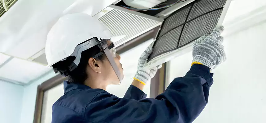 Our Mold & Mildew Removal from Air Ducts Services in South Riding, VA