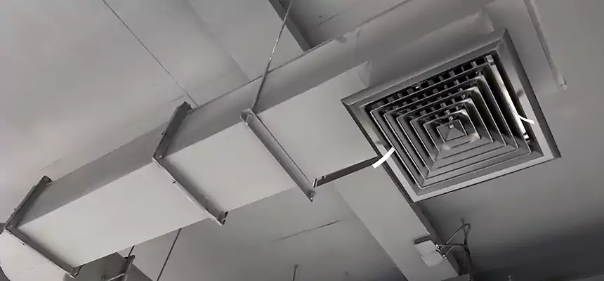 Our Pest Removal From Ducts Services in South Riding, VA