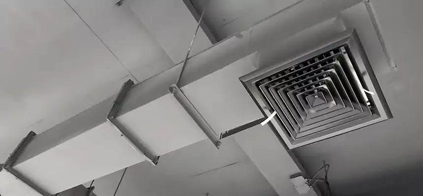 Our Rodent Droppings In Vents Services in South Riding, VA