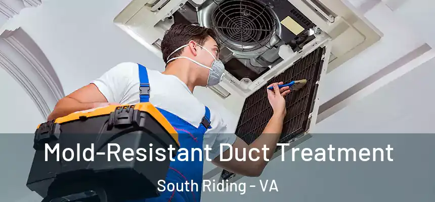 Mold-Resistant Duct Treatment South Riding - VA