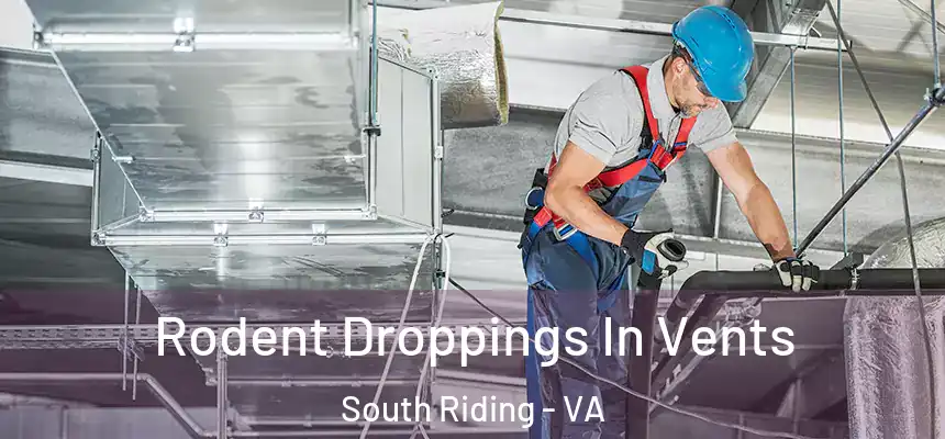 Rodent Droppings In Vents South Riding - VA