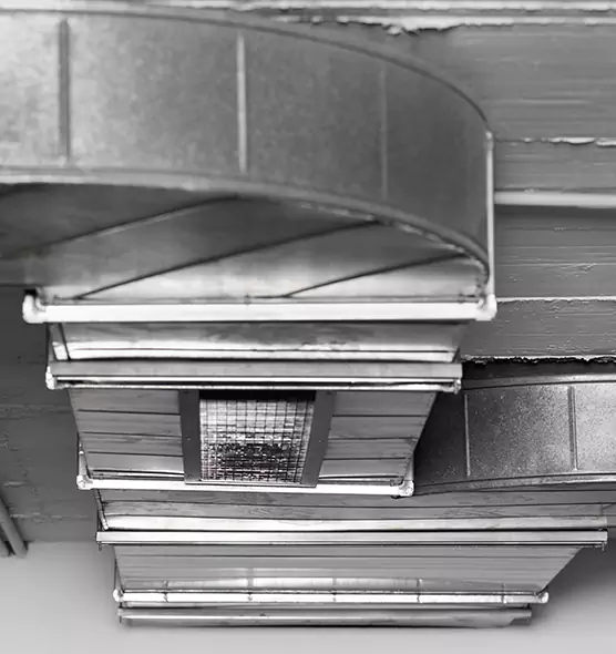 Professional Air Duct Pest Removal in South Riding, VA