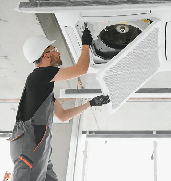 About Air Duct Rodent Removal in South Riding, VA