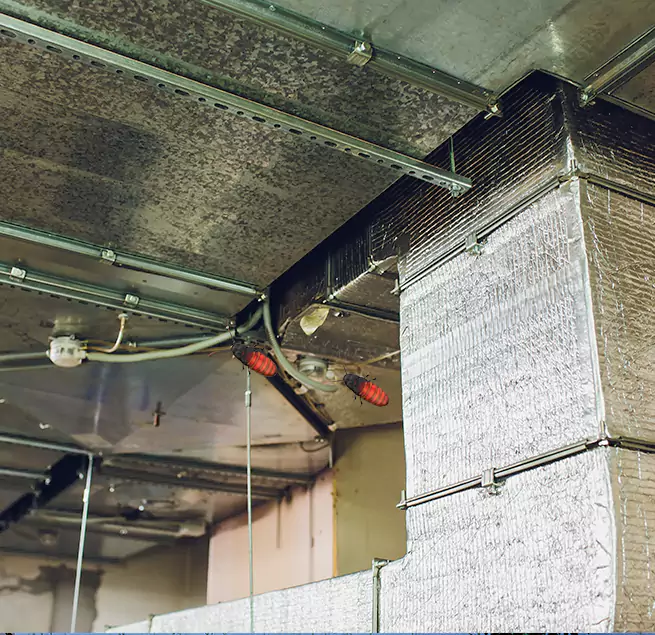 Why Homeowners & Businesses Trust Us in South Riding, VA?