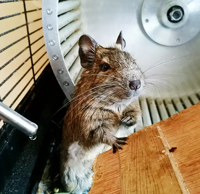 Why Homeowners & Businesses Trust Us South Riding, VA