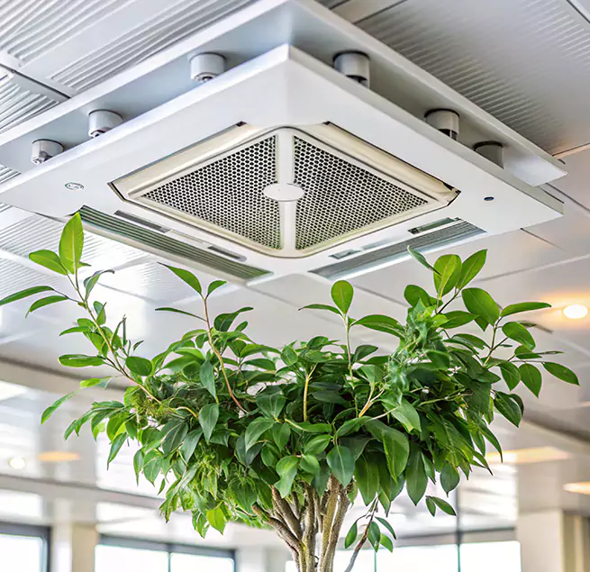 Why Homeowners & Businesses Trust Us in South Riding, VA?