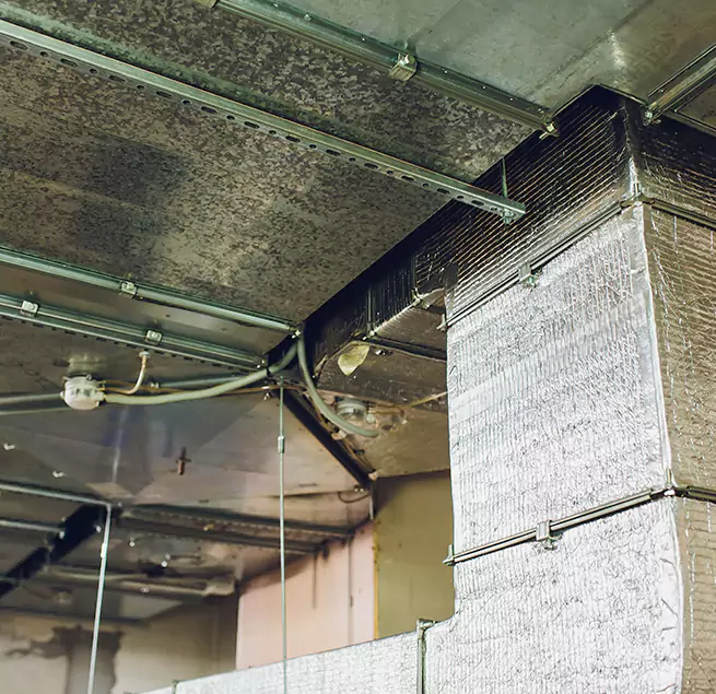 Why Homeowners & Businesses Trust Us in South Riding, VA?